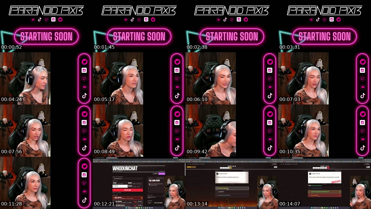 Contact-sheet preview of ParanoidPixi3_ZA's Twitch recording