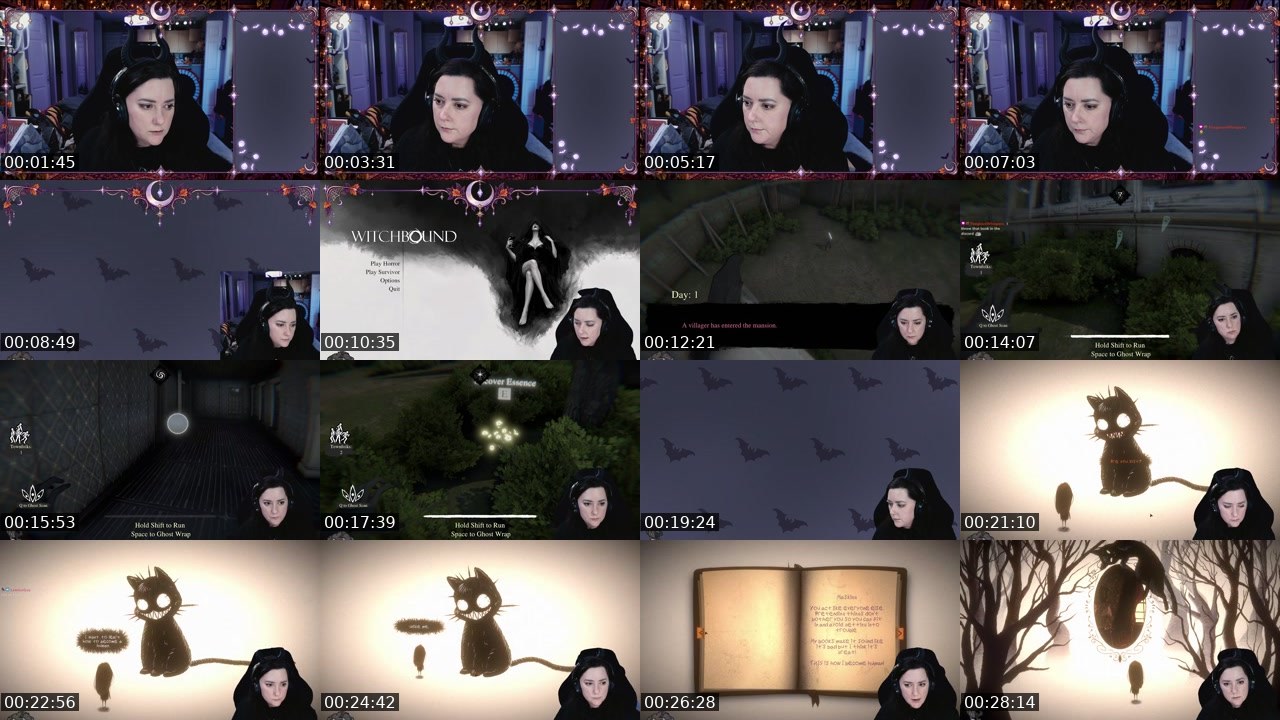 Contact-sheet preview of VioletAdia's Twitch recording
