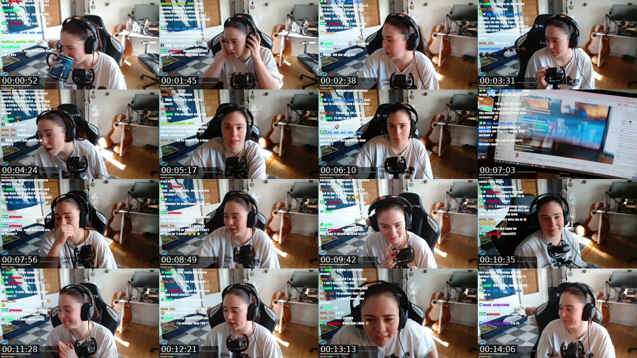 Contact-sheet preview of chickshnitty's Twitch recording