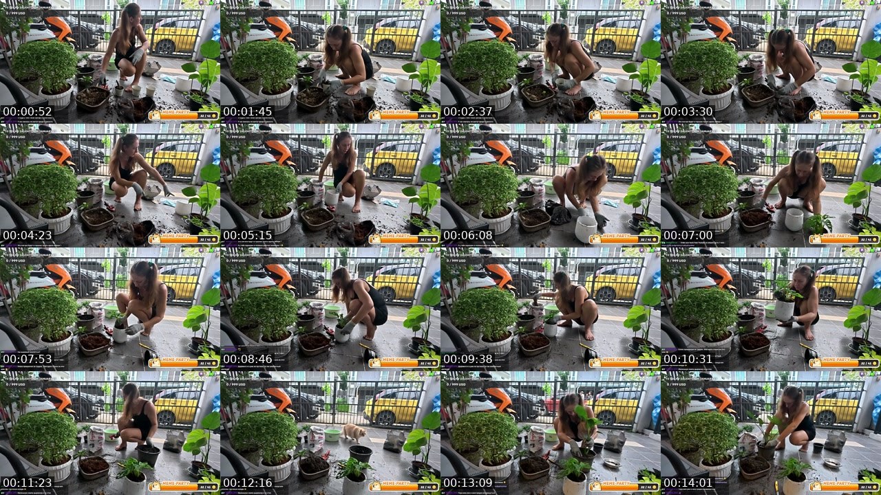 Cover for Gardening 🎍Phuket 🏝️ Expat Life ❤️ TH IRL | RU-EN