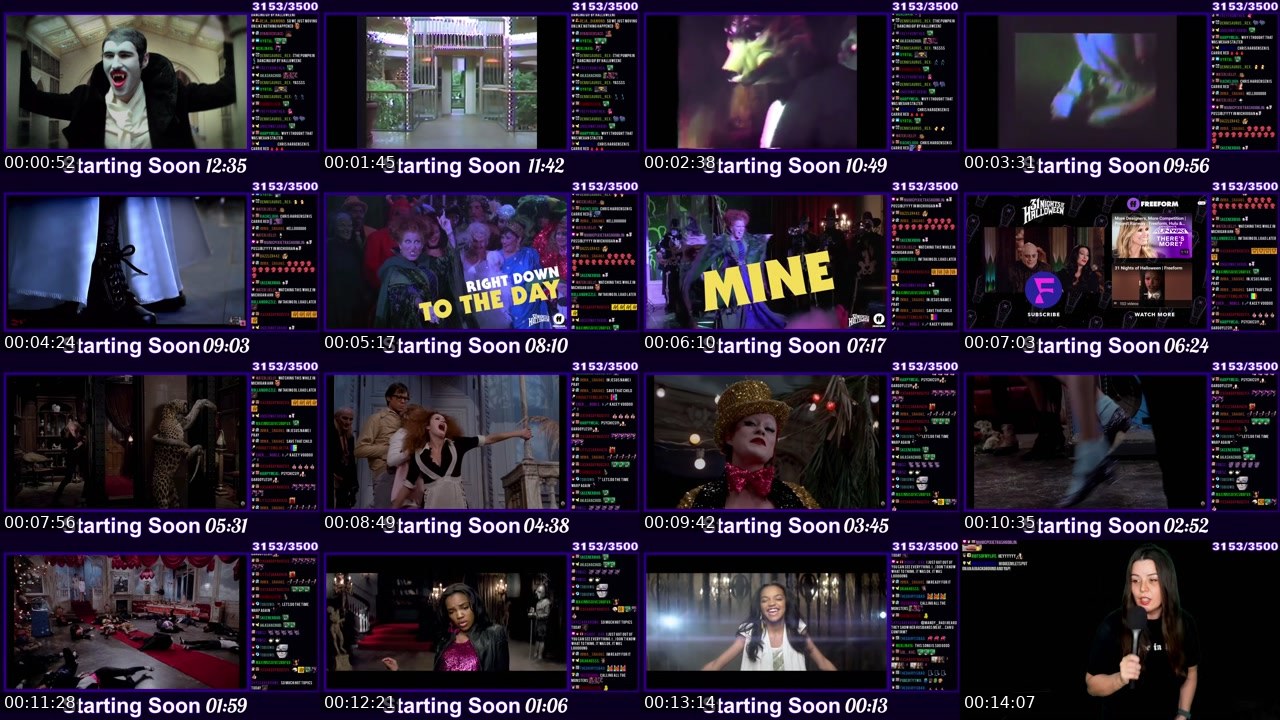 Contact-sheet preview of kacey's Twitch recording