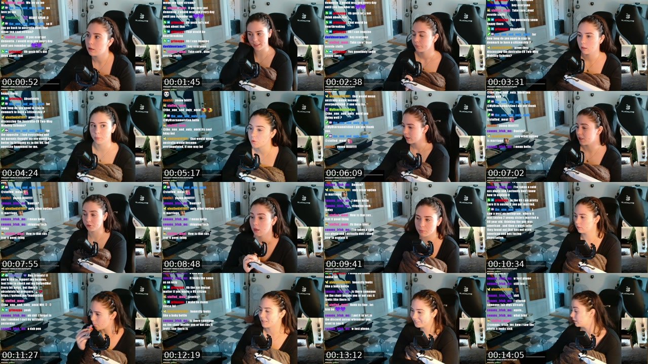 Contact-sheet preview of chickshnitty's Twitch recording