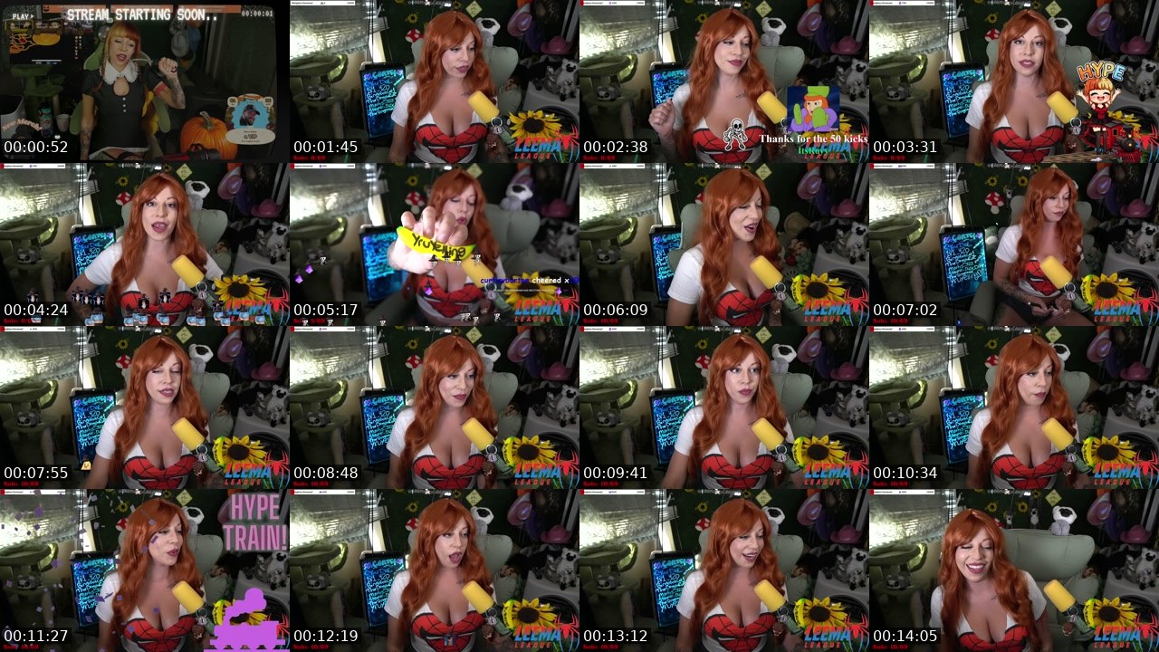 Contact-sheet preview of MissLeemaLee's Twitch recording