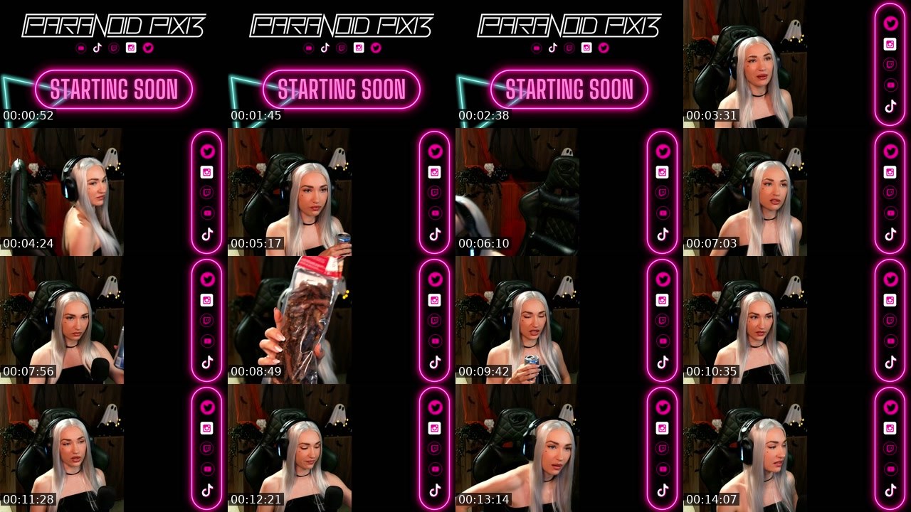 Contact-sheet preview of ParanoidPixi3_ZA's Twitch recording