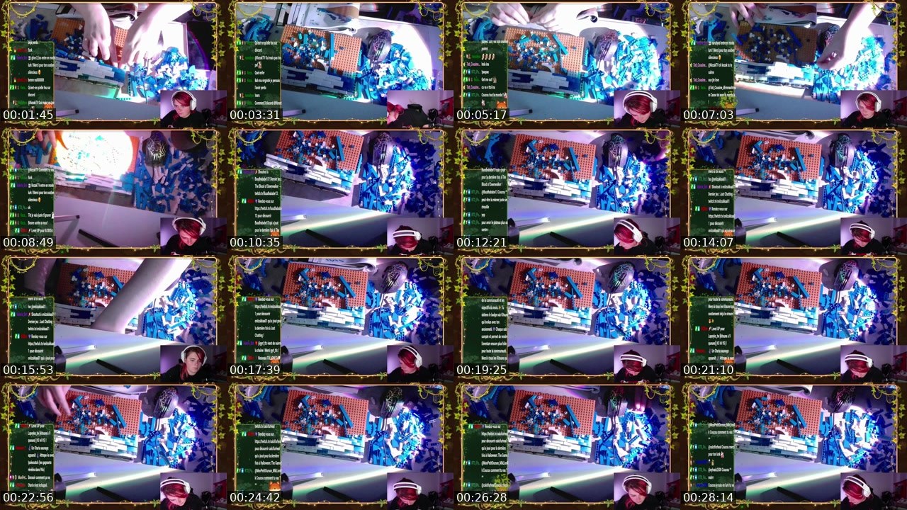 Contact-sheet preview of inariie_'s Twitch recording
