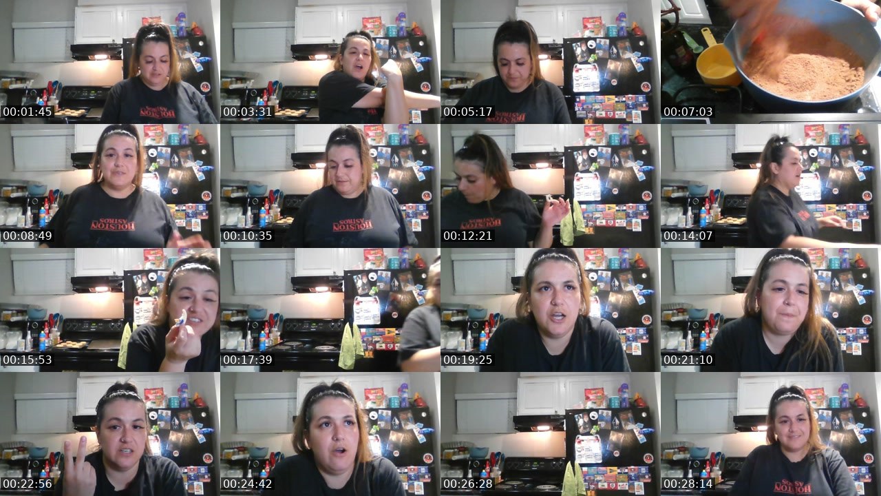 Contact-sheet preview of StadiumStephy's Twitch recording