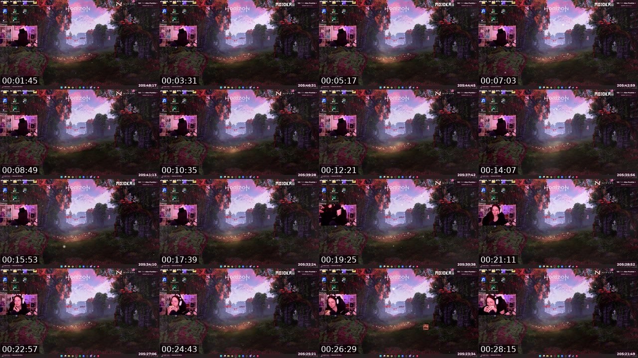 Contact-sheet preview of madoppeldi's Twitch recording