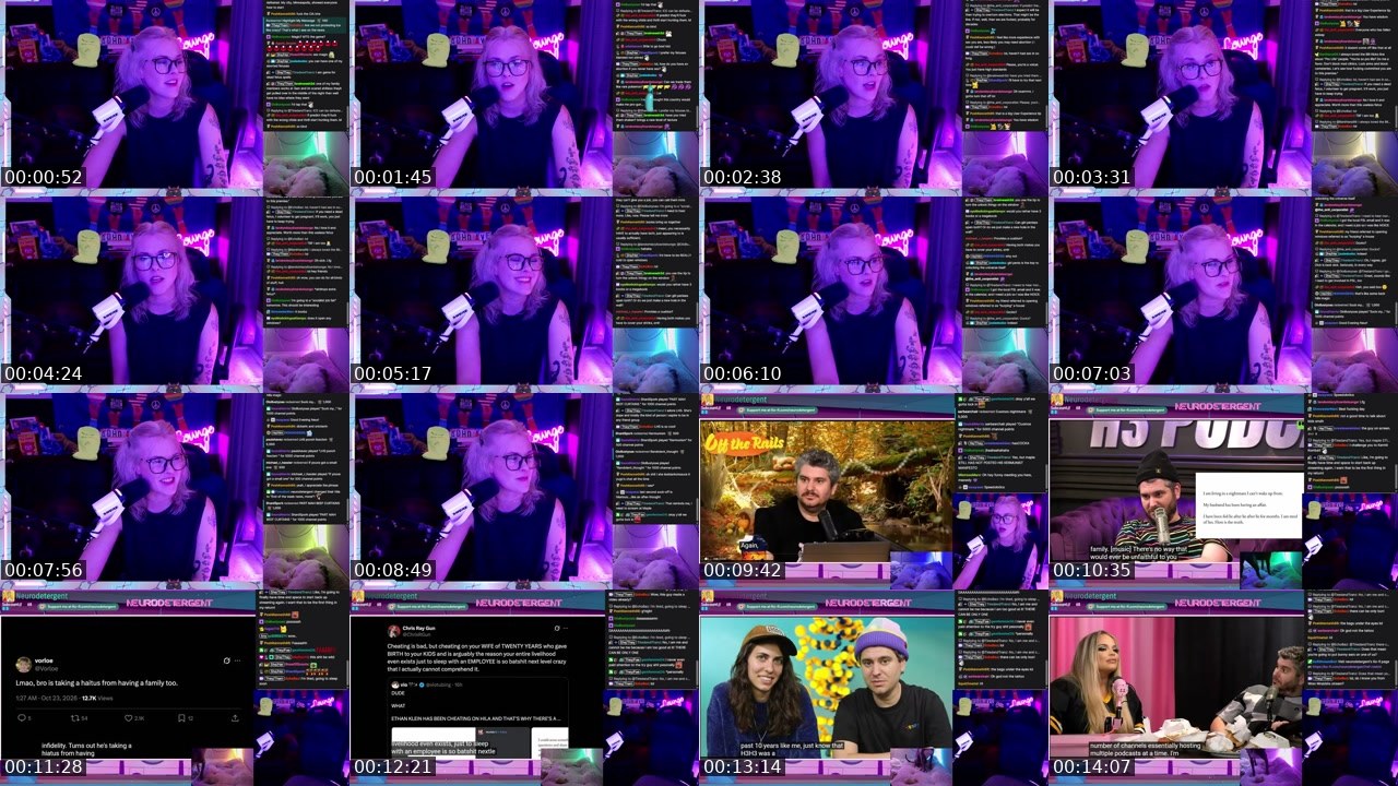 Contact-sheet preview of neurodetergent's Twitch recording