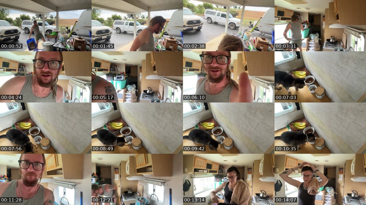 Contact-sheet preview of AlyssaWilds's Twitch recording