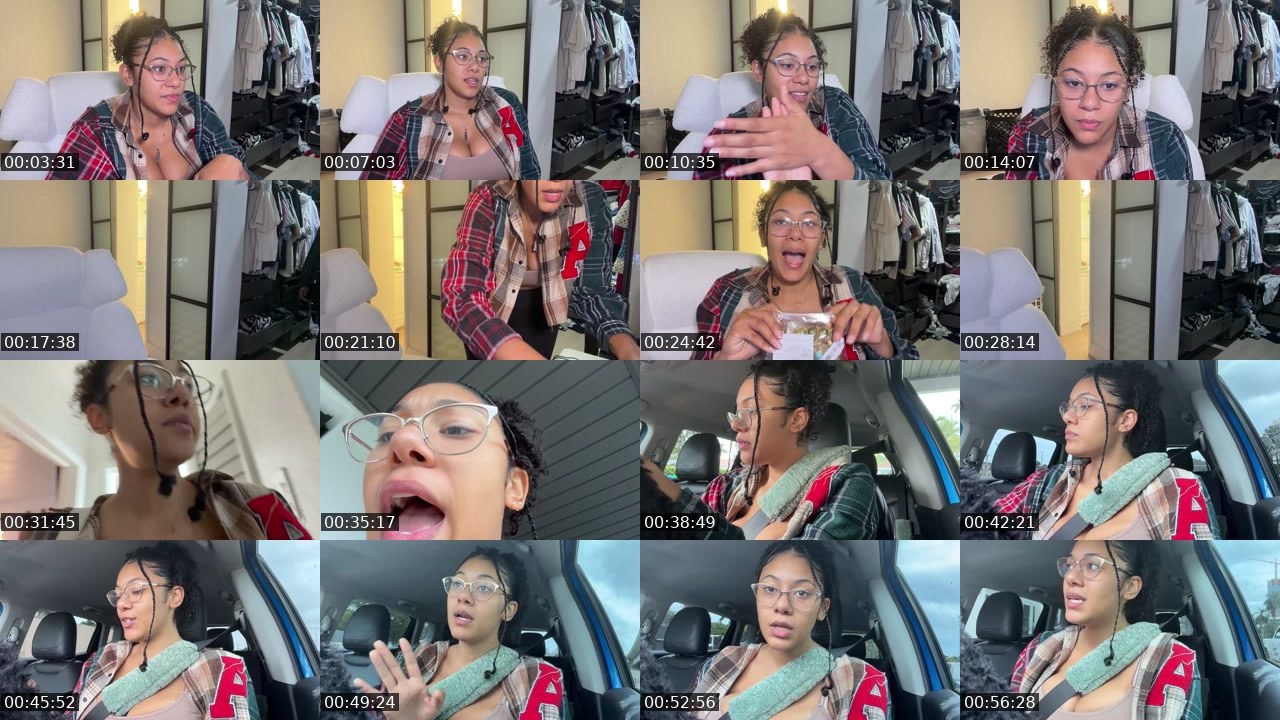 Contact-sheet preview of viramyalterego's Twitch recording