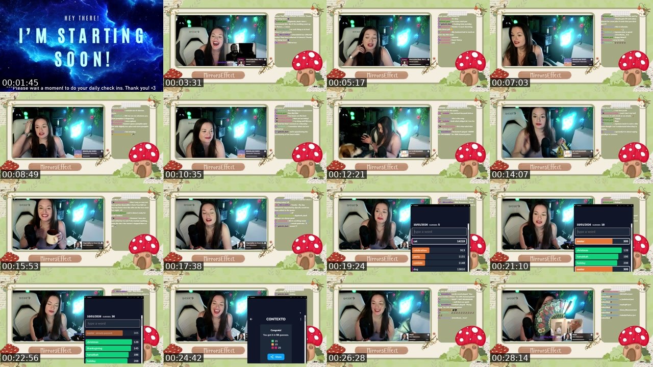 Contact-sheet preview of MirrorsEffect's Twitch recording