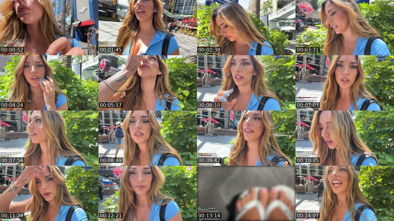 Contact-sheet preview of mole's Twitch recording
