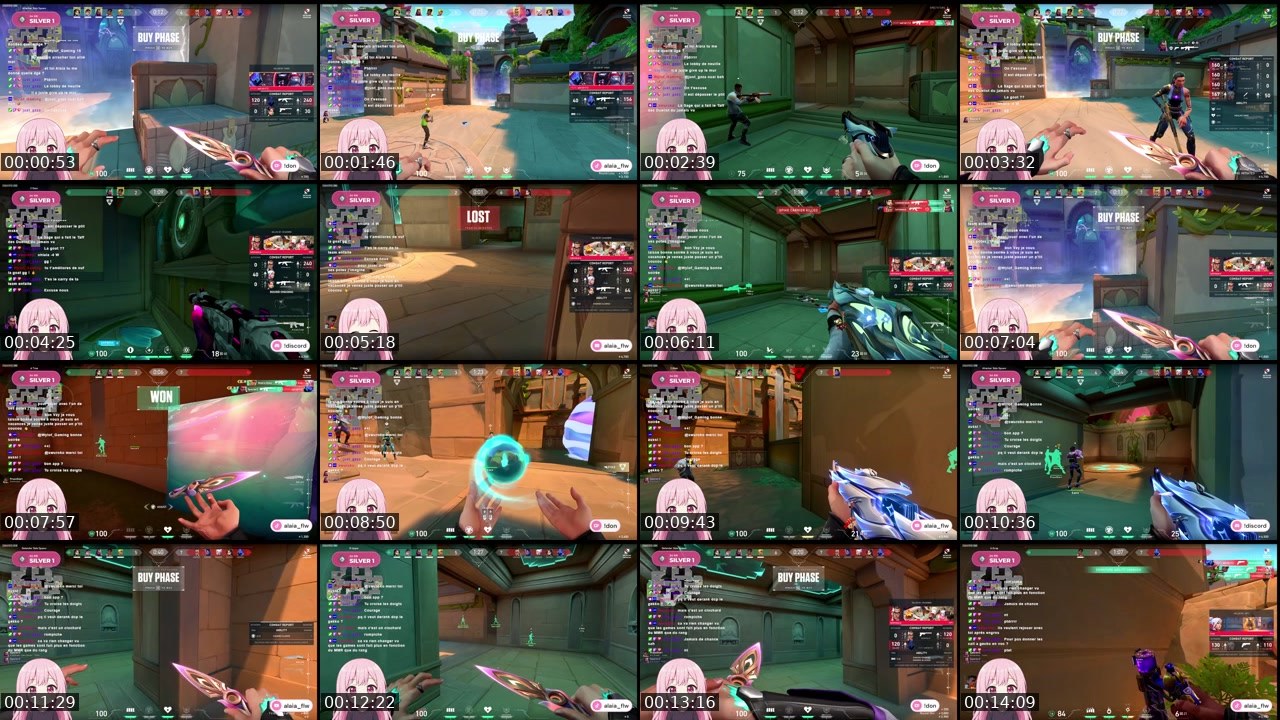 Contact-sheet preview of alaia_flw's Twitch recording