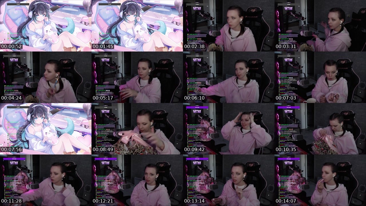 Contact-sheet preview of pizzavika's Twitch recording