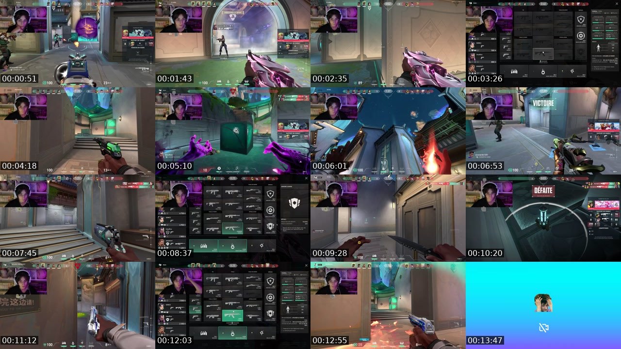 Contact-sheet preview of akalie_'s Twitch recording