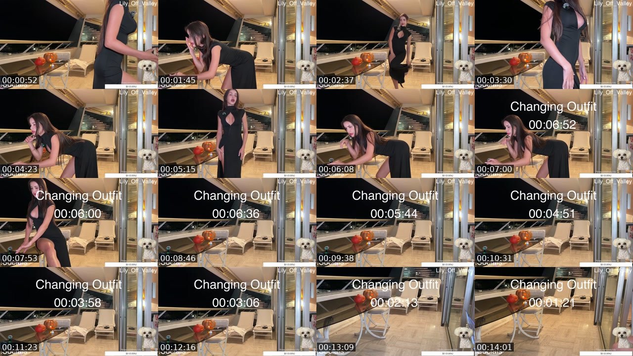 Contact-sheet preview of Lily_Off_Valley's Twitch recording