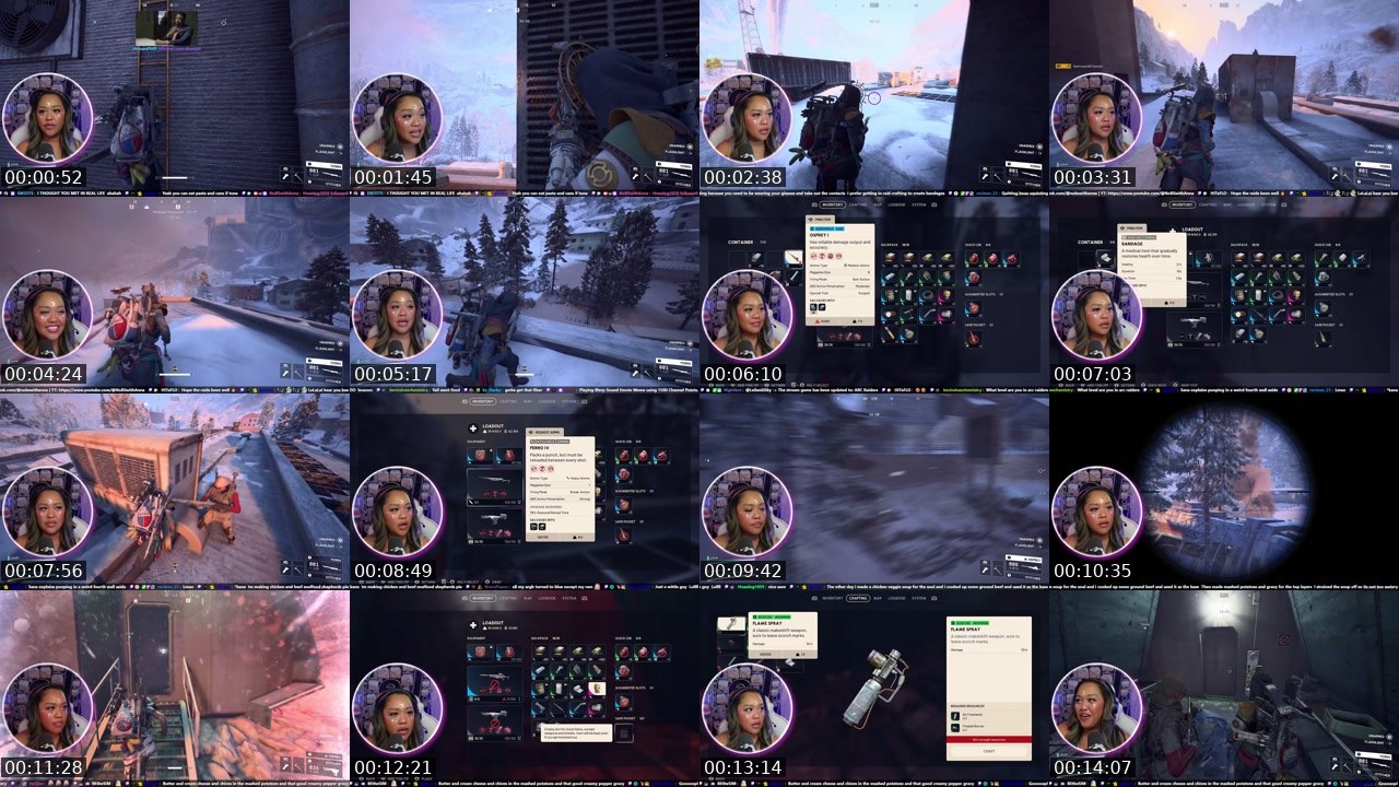 Contact-sheet preview of NoBSwithAnna's Twitch recording