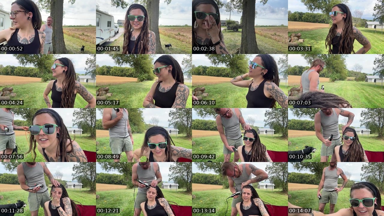 Contact-sheet preview of AlyssaWilds's Twitch recording
