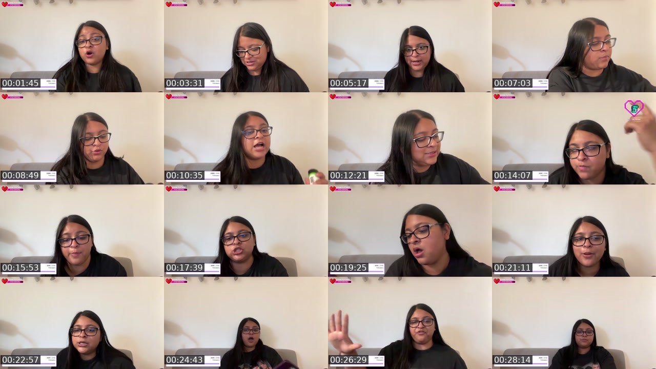 Contact-sheet preview of rasika__gupta's Twitch recording