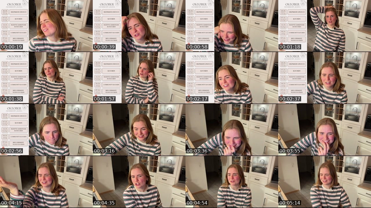 Contact-sheet preview of Feuerkopf_Elena's Twitch recording