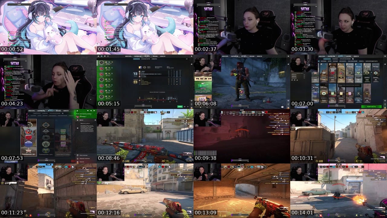 Contact-sheet preview of pizzavika's Twitch recording
