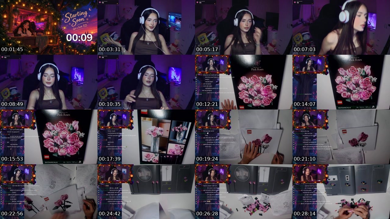 Contact-sheet preview of baumhausv's Twitch recording