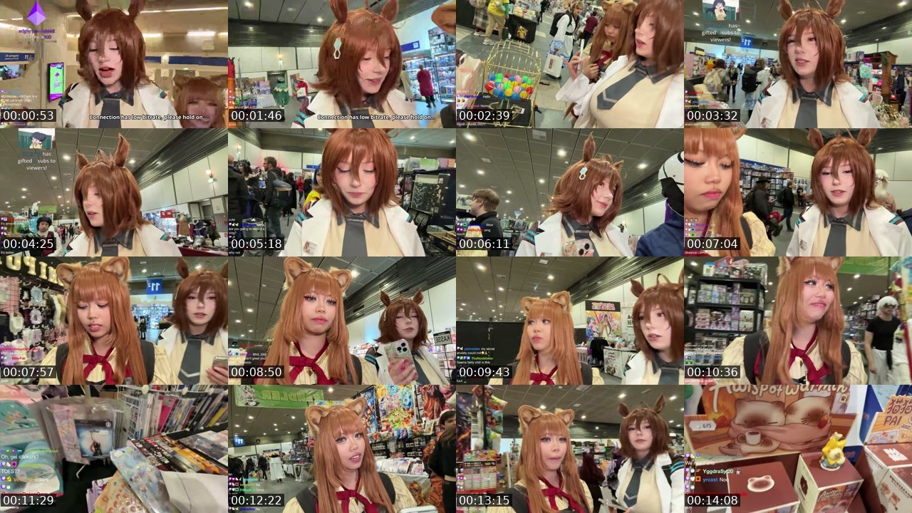 Contact-sheet preview of anyamochi's Twitch recording