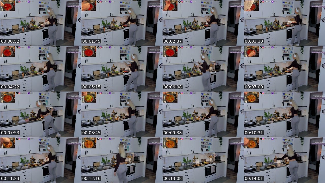 Contact-sheet preview of LinnyNova's Twitch recording