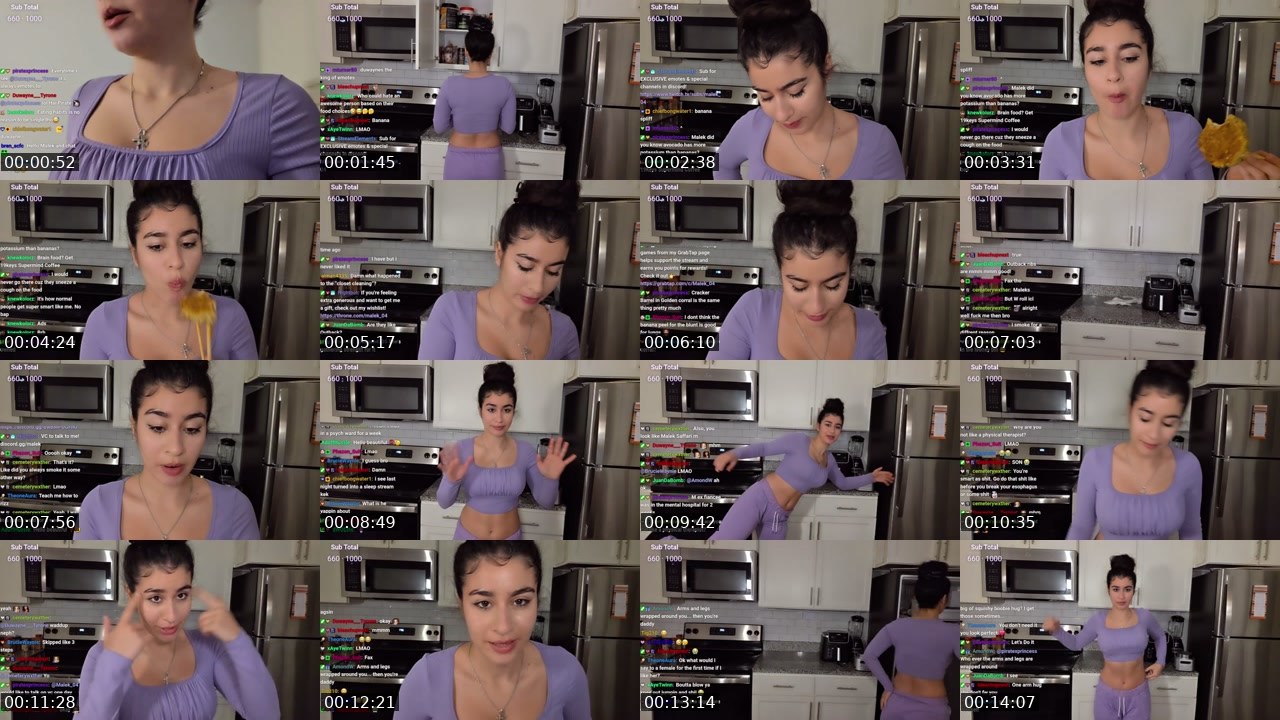 Contact-sheet preview of Malek_04's Twitch recording