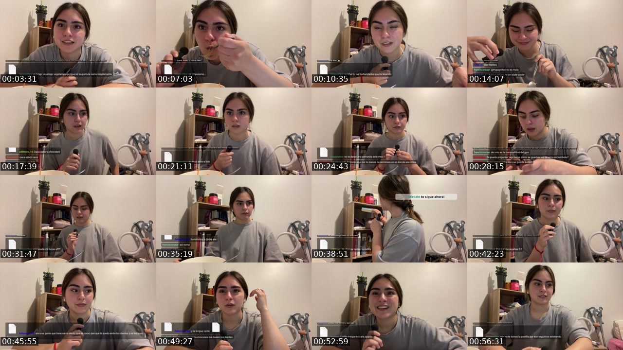 Contact-sheet preview of japijesu's Twitch recording