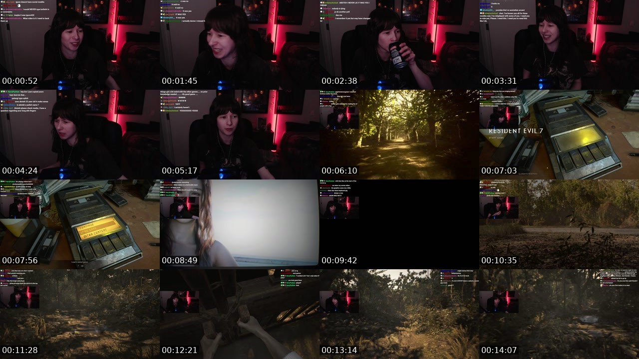 Contact-sheet preview of absteh's Twitch recording