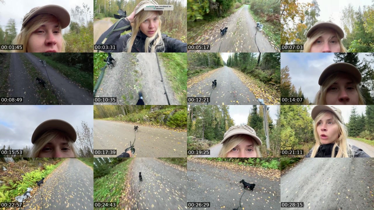 Contact-sheet preview of mmilla's Twitch recording