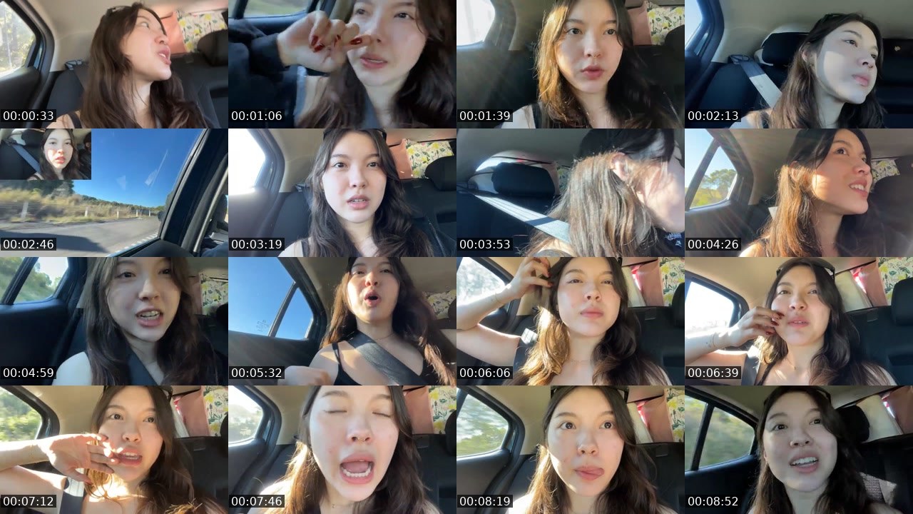 Contact-sheet preview of strawberrytoastie's Twitch recording
