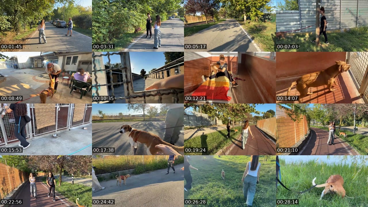Contact-sheet preview of innasolo's Twitch recording