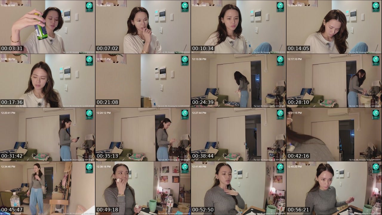 Contact-sheet preview of WithinLUXE's Twitch recording