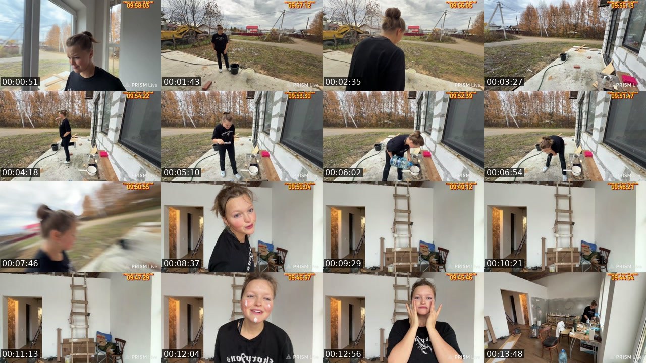 Contact-sheet preview of kris_grizliks's Twitch recording