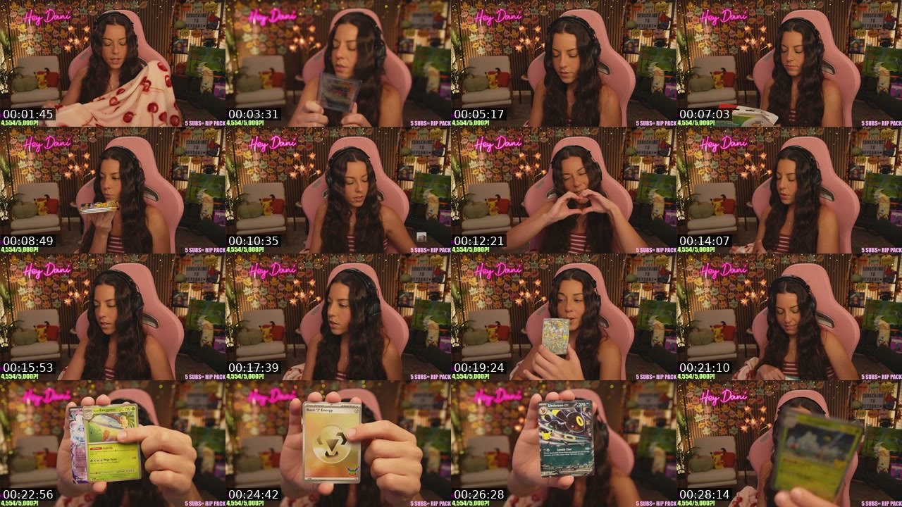 Contact-sheet preview of HeyDani's Twitch recording