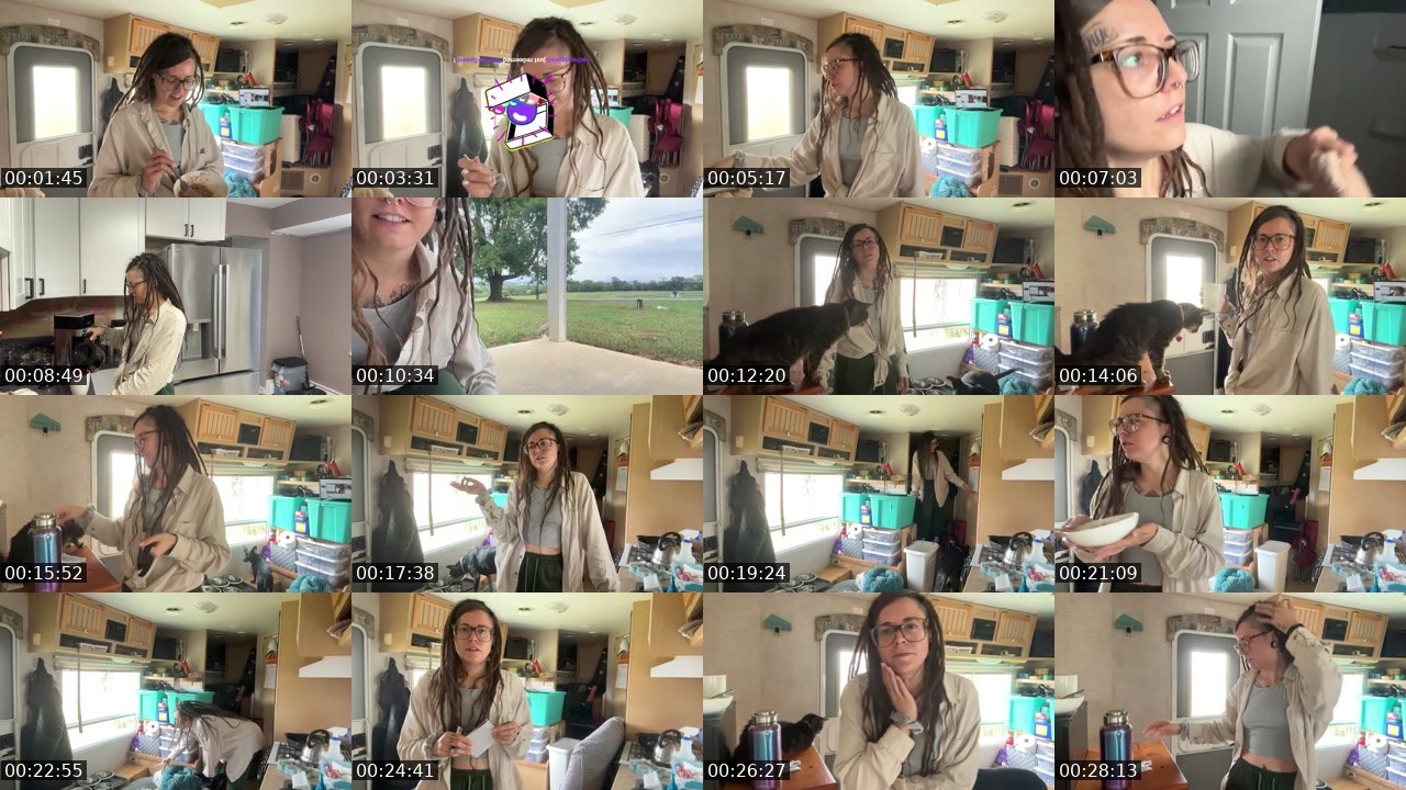 Contact-sheet preview of AlyssaWilds's Twitch recording