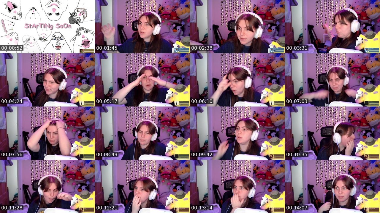 Contact-sheet preview of ilovecapybarasssss's Twitch recording