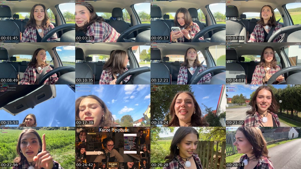 Contact-sheet preview of schiddii's Twitch recording