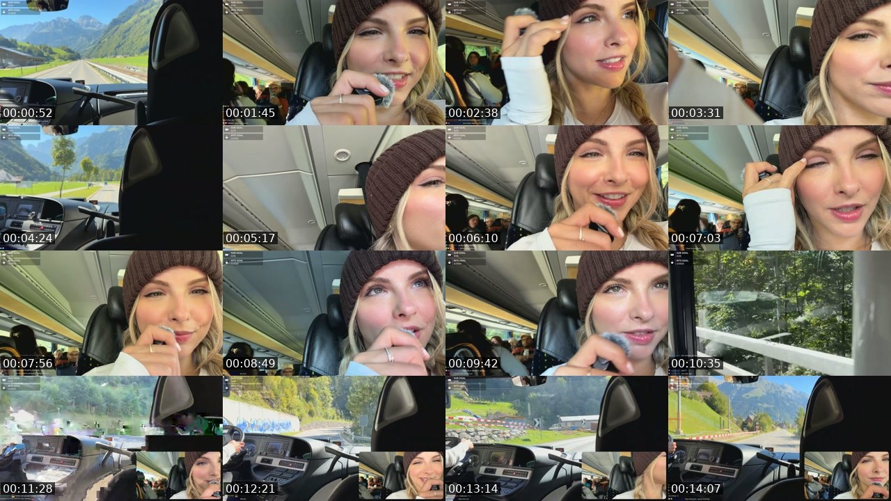 Contact-sheet preview of Stay_C's Twitch recording