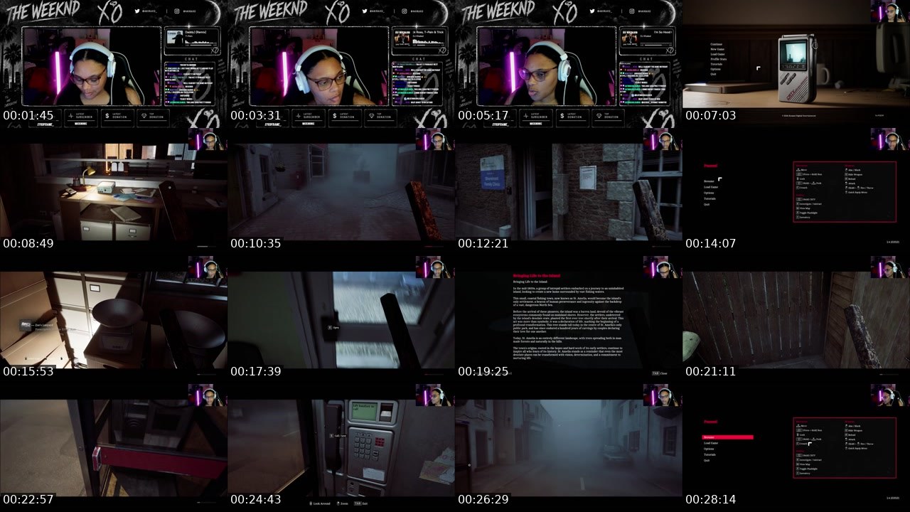 Contact-sheet preview of Akirajanelle's Twitch recording