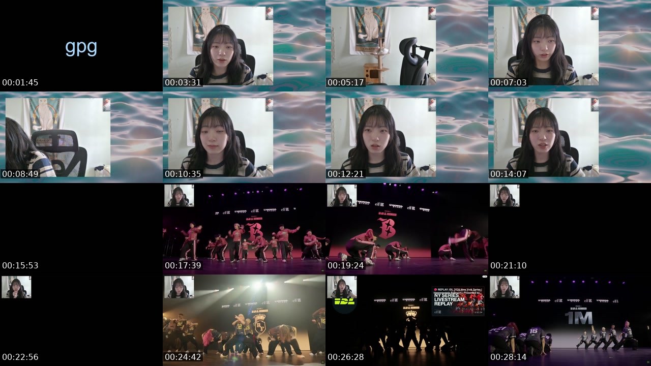 Contact-sheet preview of avocadada's Twitch recording