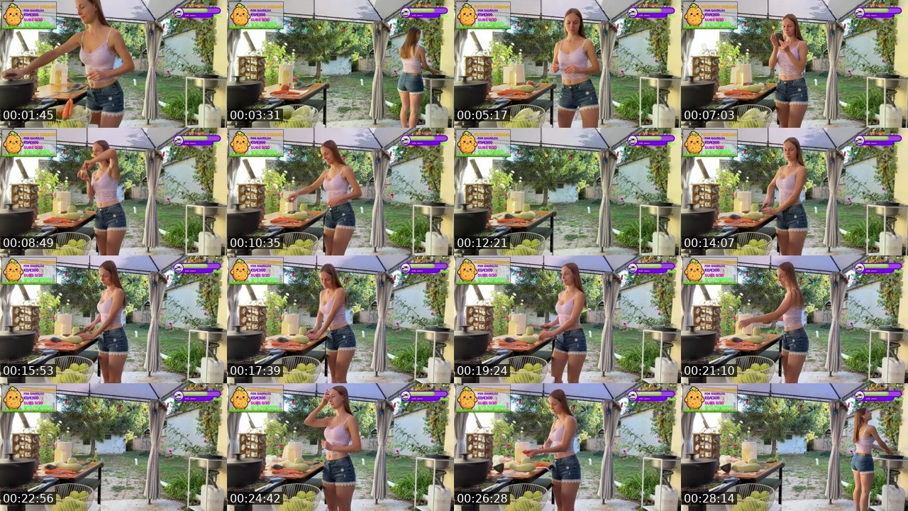 Contact-sheet preview of Gavrilka's Twitch recording