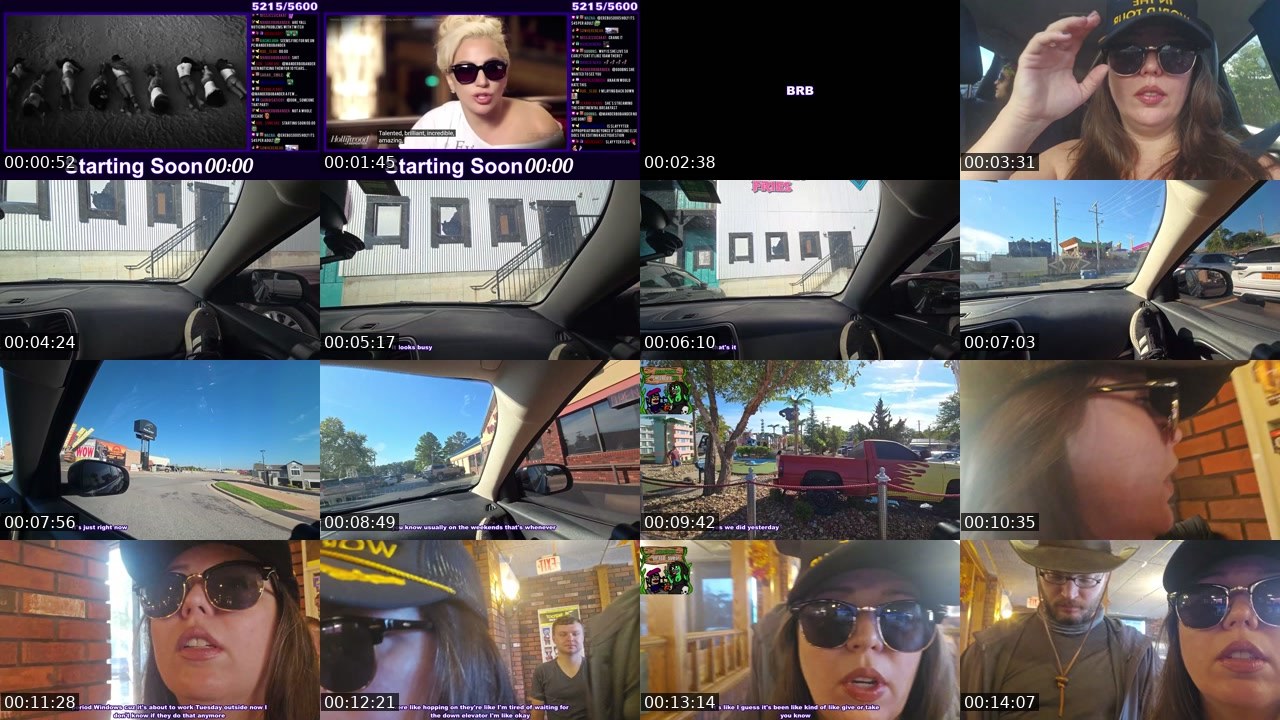 Contact-sheet preview of Kaceytron's Twitch recording