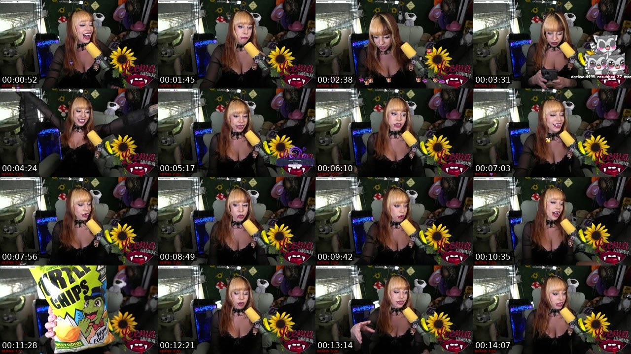 Contact-sheet preview of MissLeemaLee's Twitch recording