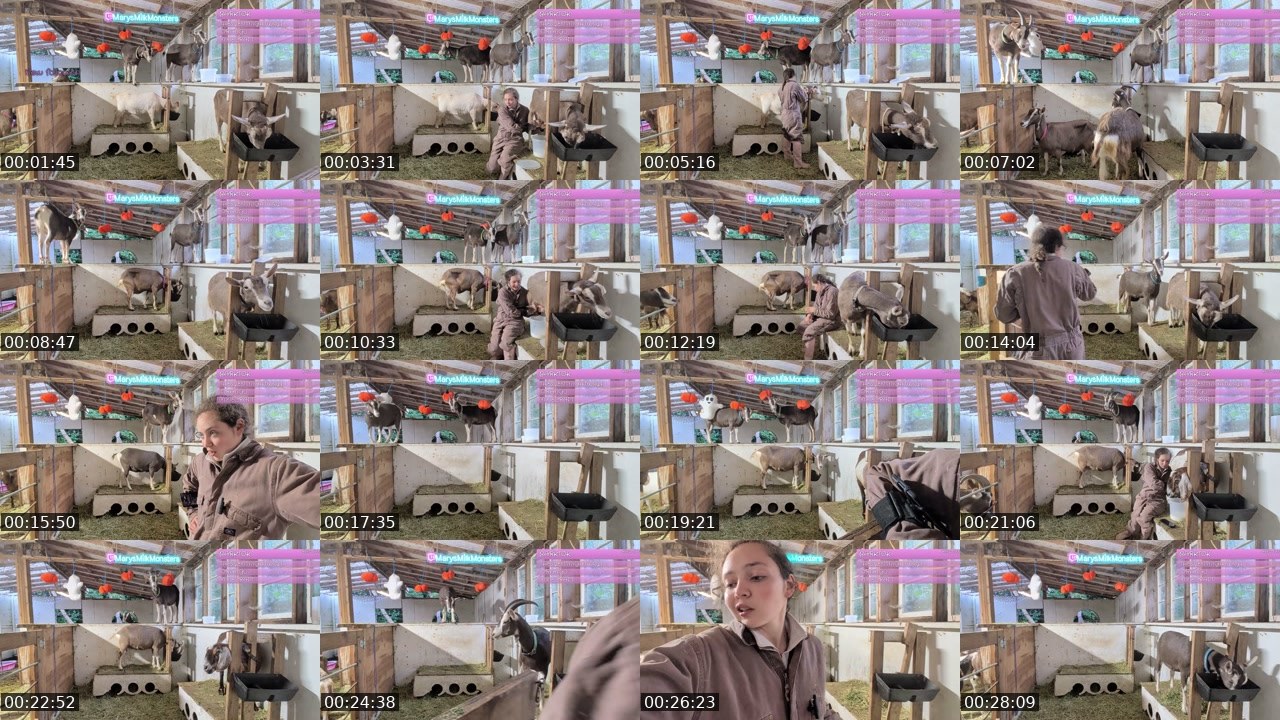 Contact-sheet preview of MarysMilkMonsters's Twitch recording