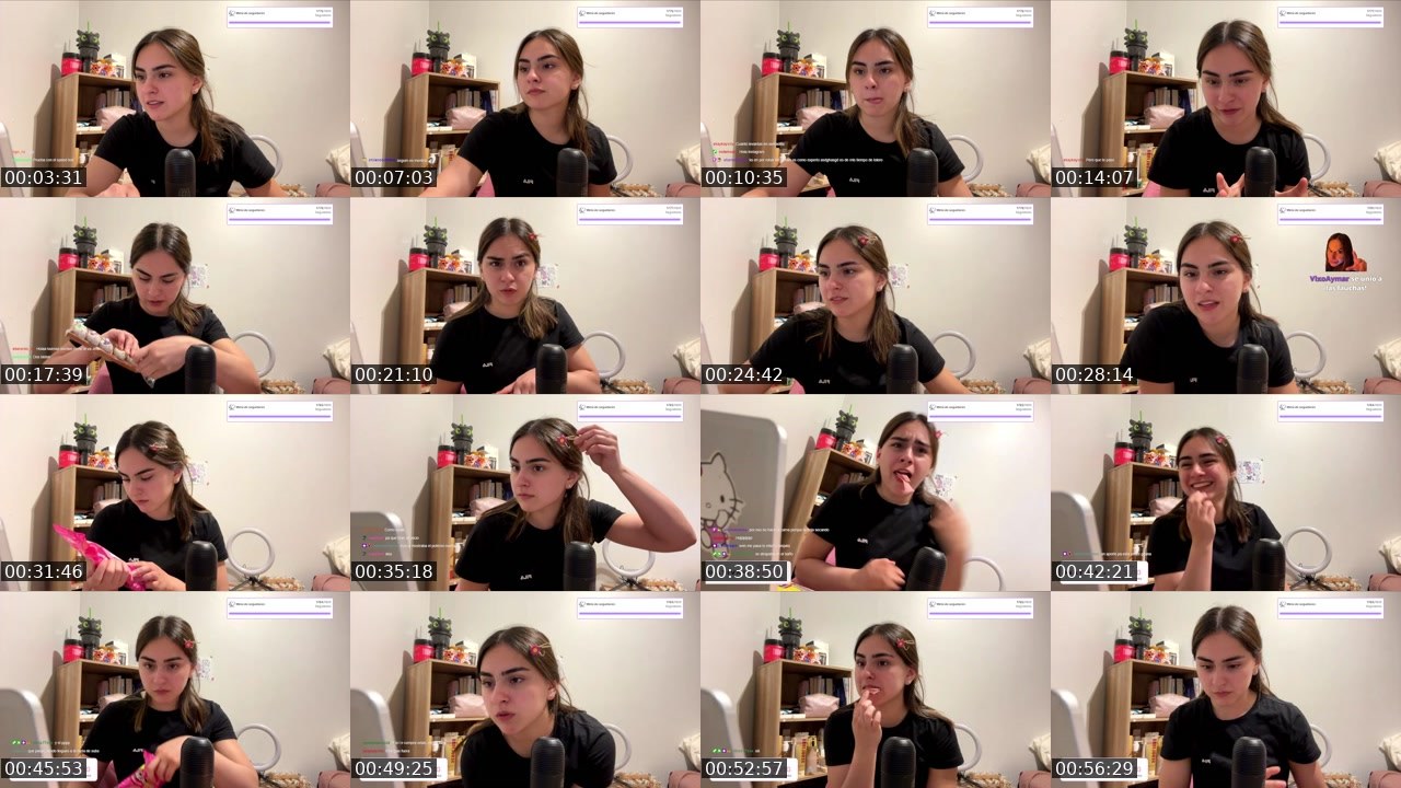 Contact-sheet preview of japijesu's Twitch recording