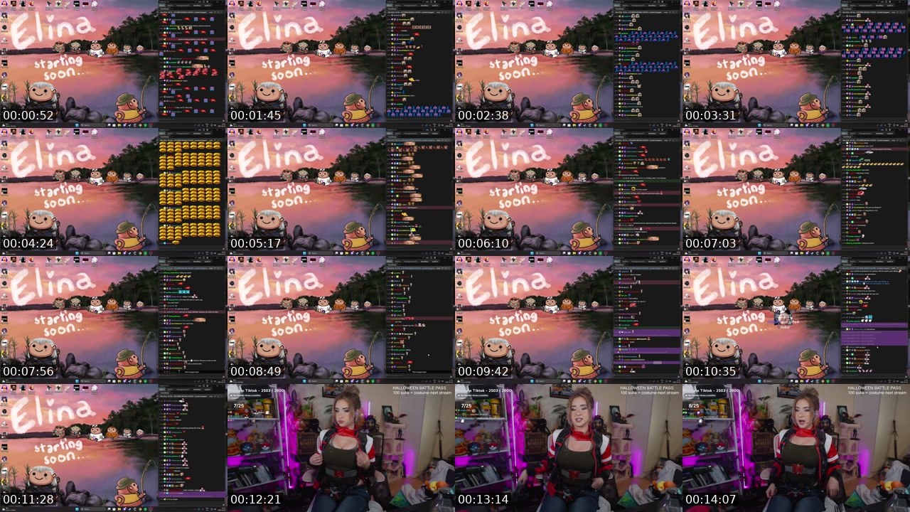 Contact-sheet preview of Elina's Twitch recording