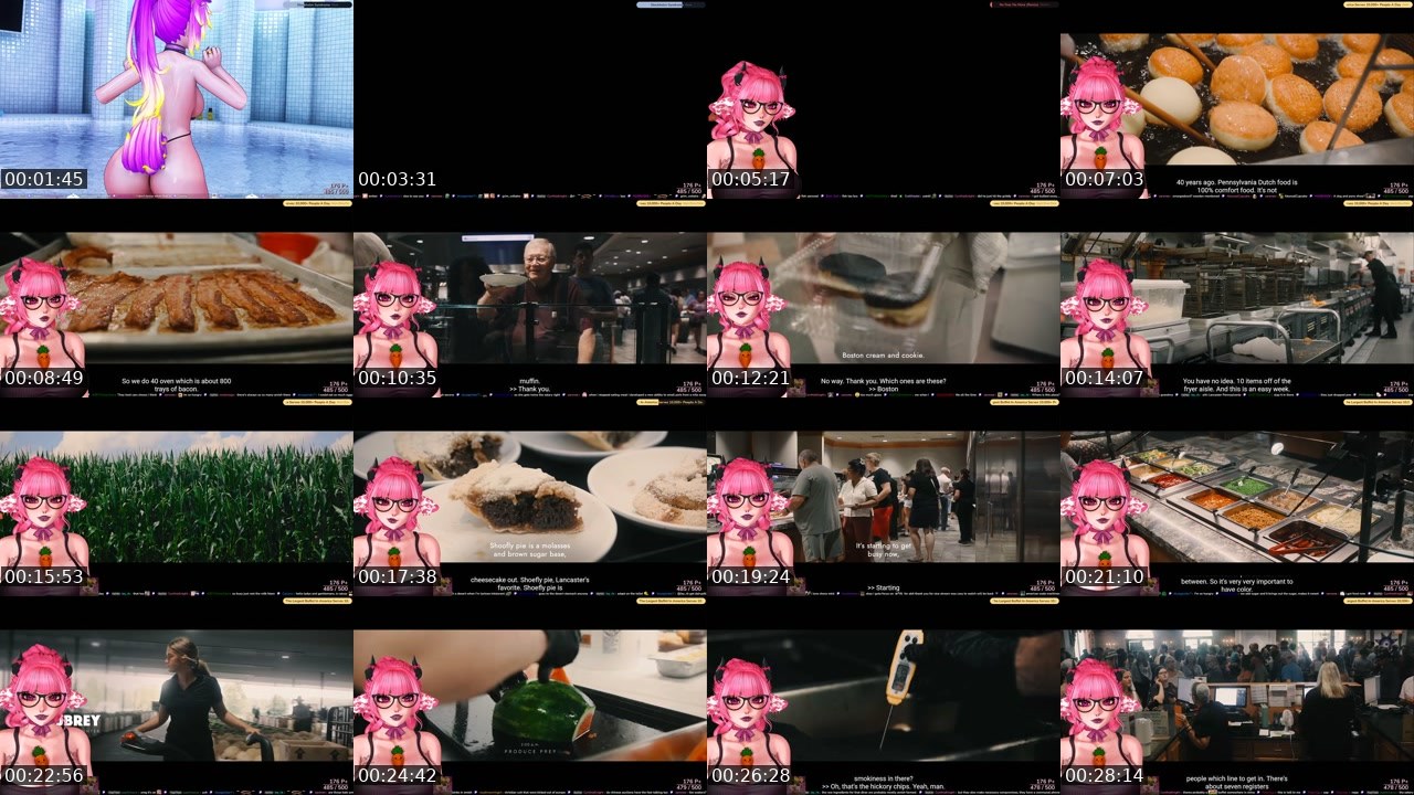 Contact-sheet preview of akiwoo's Twitch recording